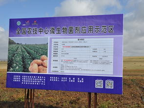 技術推廣服務中心 加速創(chuàng)新與應用的橋梁